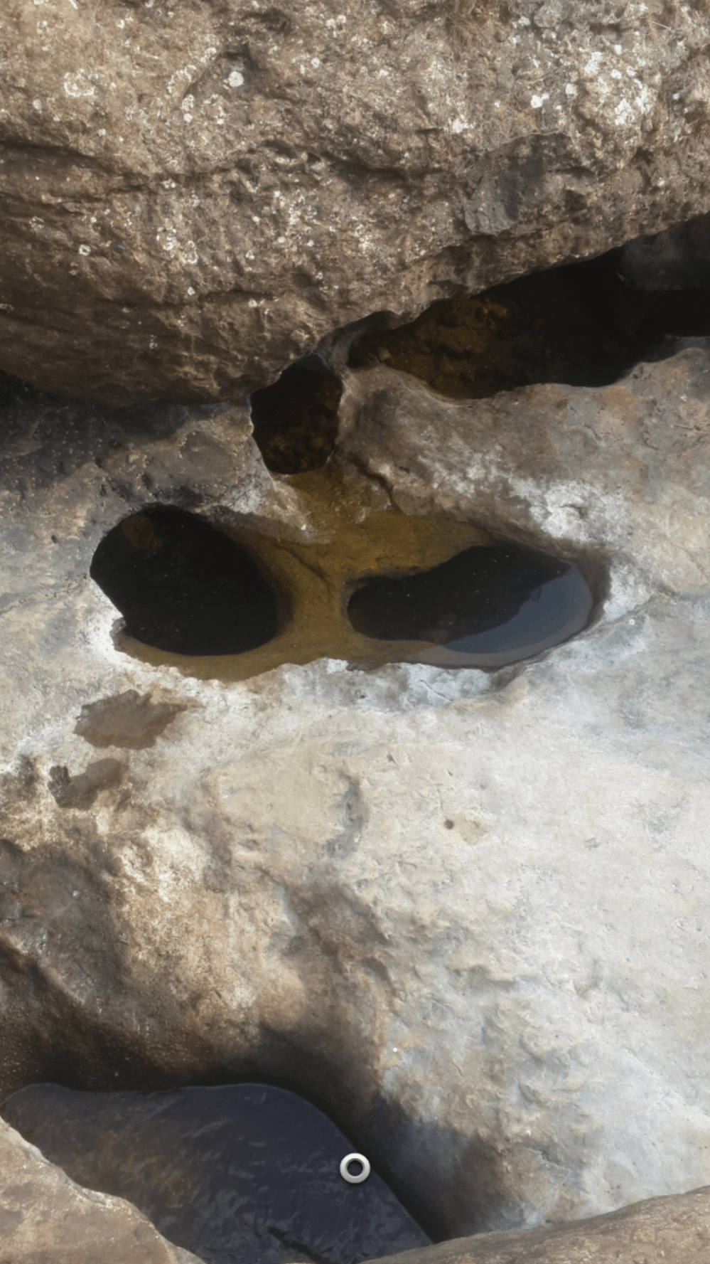 Screenshot_2018-12-13-11-12-43